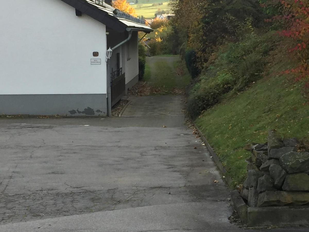 Ferienwohnungen Lang Willingen  Extérieur photo