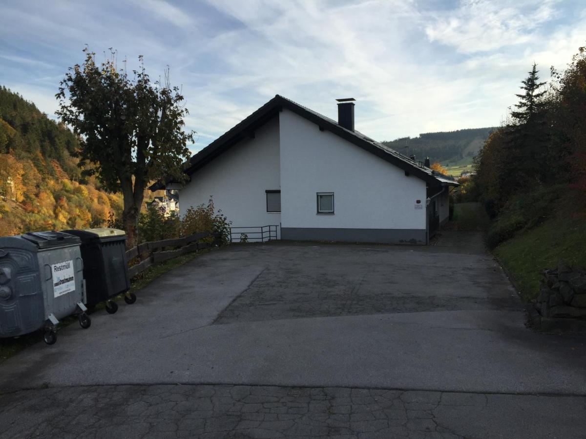 Ferienwohnungen Lang Willingen  Extérieur photo