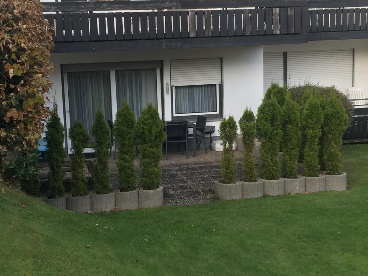 Ferienwohnungen Lang Willingen  Extérieur photo