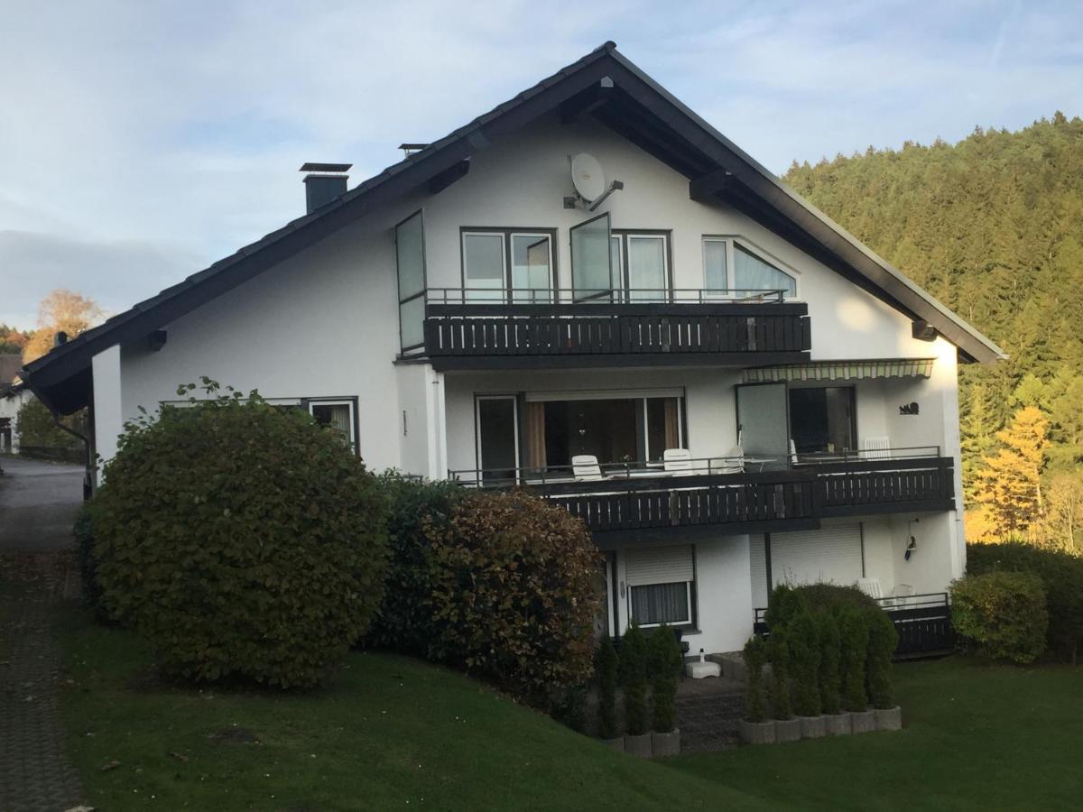 Ferienwohnungen Lang Willingen  Extérieur photo