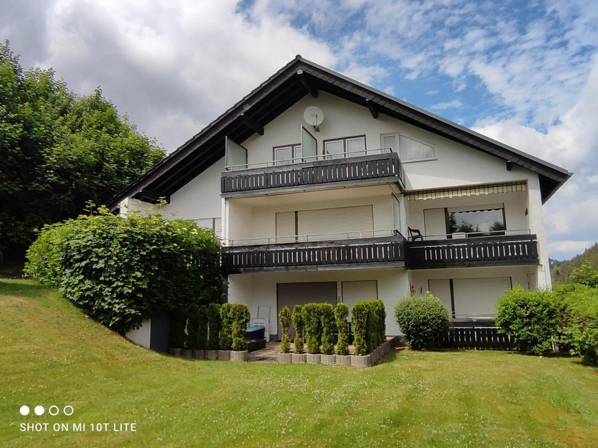 Ferienwohnungen Lang Willingen  Extérieur photo
