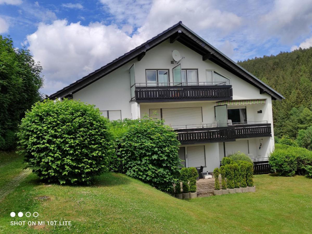 Ferienwohnungen Lang Willingen  Extérieur photo