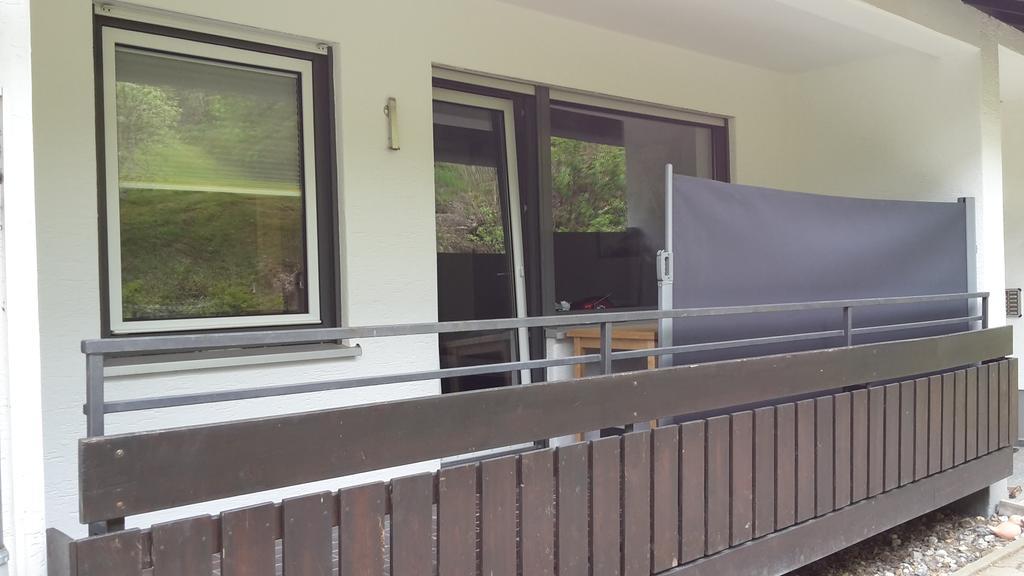 Ferienwohnungen Lang Willingen  Extérieur photo